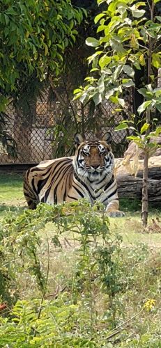 Vipul78-4959511