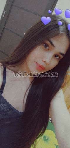 trans girl Virginvip 8289078 trans girl Virginvip 8289078