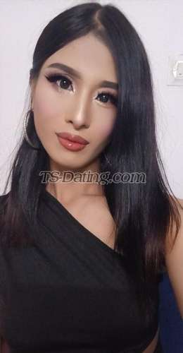 trans girl Viviaantaylo 7033846 trans girl Viviaantaylo 7033846