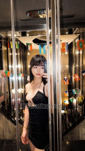 trans girl Vivianrose 3790090