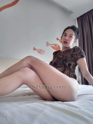 trans girl VixenAmanda 4123908 trans girl VixenAmanda 4123908