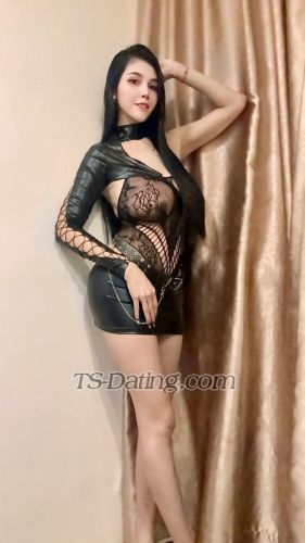 trans girl vaniagabrelly 8113899 trans girl vaniagabrelly 8113899