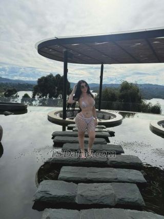 trans girl vanmuneton 7505397 trans girl vanmuneton 7505397