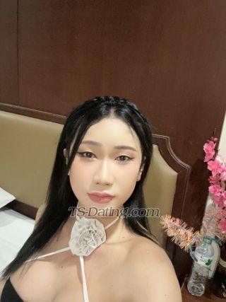 trans girl venusbeauty12 3414257