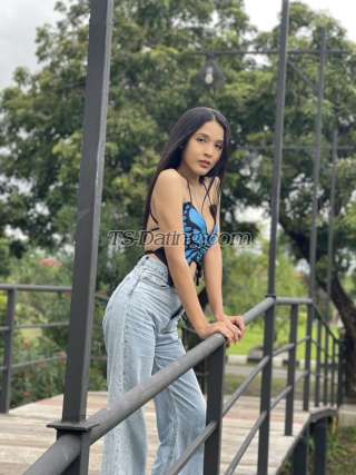 trans girl verstara 8652950 trans girl verstara 8652950