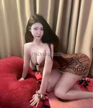 trans girl vincetrans 2004726 trans girl vincetrans 2004726