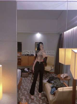 trans girl vincetrans 6610405 trans girl vincetrans 6610405