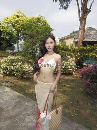 trans girl vista 2964728 trans girl vista 2964728