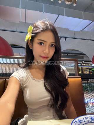 trans girl vista 3317211 trans girl vista 3317211