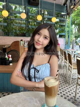 trans girl vista 7323542 trans girl vista 7323542