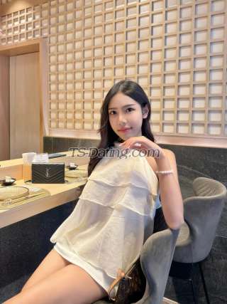 trans girl vista 7960391 trans girl vista 7960391