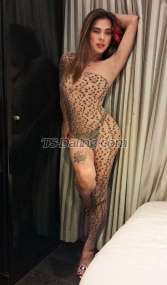 WILDTsSandra Bugis Transex