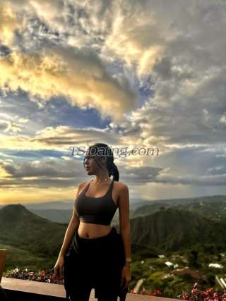 trans girl WifeMaterial 9366553