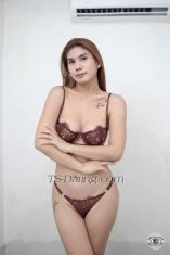 WildCelestixx Central Transex New girl in town Just landed!
Alluring Goddess is here to fulfill your fantasy! 
I am your Wild Celesti 🔥ready to get wet and wild! Be ready to be owned and to worship the big cock in the city!  Willing to do everything to satisfy your cravings. Let's make your dreams into reality Alluring Girlfriend that your looking for finally here 
A Girlfriend Material A lovely Mistress And Sweet Innocent girl in one body 💦
😈Big cock full of load that is hard as rock👿
I can be your top, your bottom and Versatile
after the tiring session, you can get a complimentary massage! 
✔️Cam Show
✔️ Sexting Pics and vids
✔️ Feminization
✔️ SPH
✔️ Domination, Humiliation
✔️ Costumes, Lingerei 
✔️BDSM

you can video call me first to verify!
Dont ask nudes or else block
🛑Payment first policy!🛑

Whatsapp me: +85267447163
Telegram me: LoveCelestiXX
WeChat: wildcelestixxx

CENTRAL 📍📍

