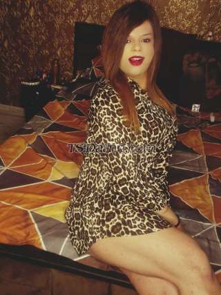 trans girl Wildcatty 4908422 trans girl Wildcatty 4908422