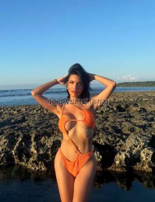 trans girl WildestFantas 8433417 trans girl WildestFantas 8433417