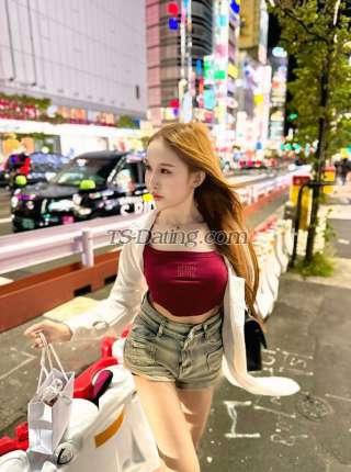 trans girl wiwhan 7695487 trans girl wiwhan 7695487