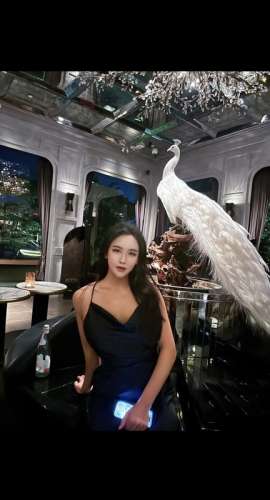 Xingyu1133 3067777 Xingyu1133 3067777