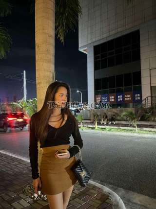 trans girl XoLovelyTS 2571596 trans girl XoLovelyTS 2571596