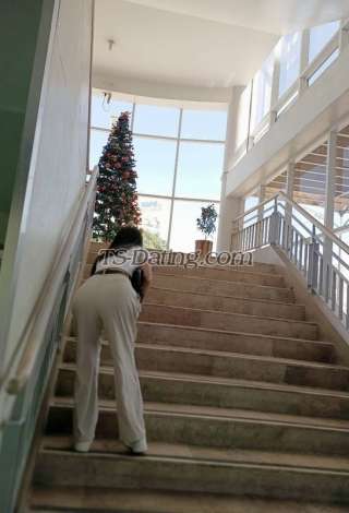 trans girl XxBabyCakexX 8014989 trans girl XxBabyCakexX 8014989