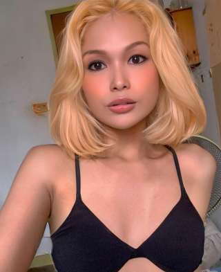 xcocox 1841182 xcocox 1841182