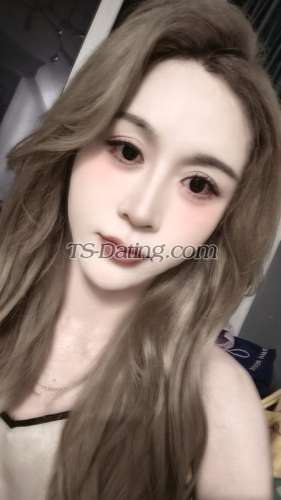 trans girl xinmiao 2251431 trans girl xinmiao 2251431