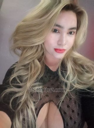 trans girl xoxolove22 2442855 trans girl xoxolove22 2442855