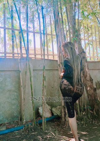 trans girl xoxolove22 2442972 trans girl xoxolove22 2442972