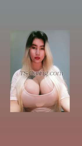 trans girl xoxolove22 5351361 trans girl xoxolove22 5351361