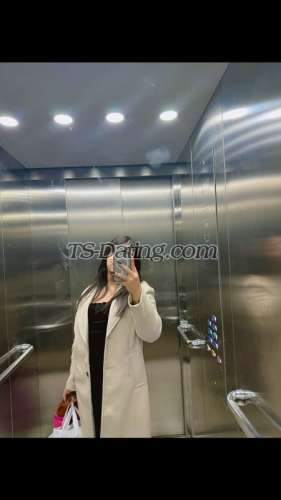 trans girl Yakout 4799480 trans girl Yakout 4799480