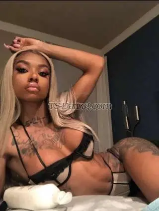 Shemale Yasmen 1380292 Shemale Yasmen 1380292