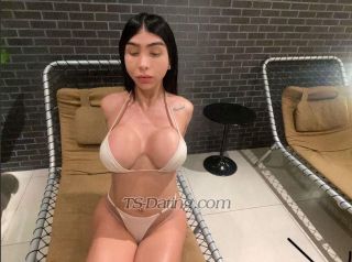 trans girl YasmimDornell 5201960 trans girl YasmimDornell 5201960