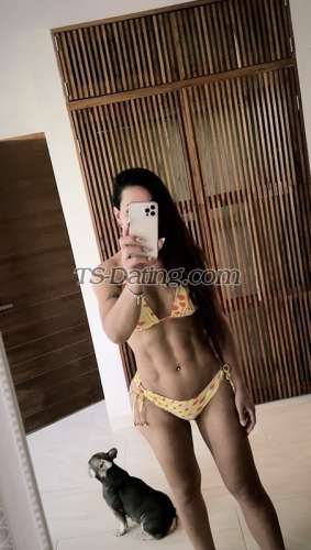 trans girl Yelitzascort 9451280 trans girl Yelitzascort 9451280