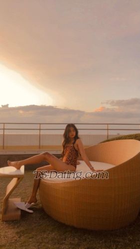 trans girl Yogirlcherry 5576497 trans girl Yogirlcherry 5576497