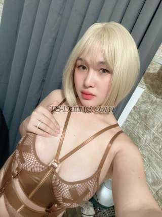 trans girl Yourvana 8417205 trans girl Yourvana 8417205