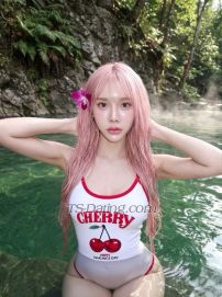 yoojin Taipei Transex Hello, I am... Ladyboy my name is yoojin I'm half
Thai-Korean. 🇹🇭🇰🇷 Age 23Height
34-24-36 Big and beautiful breastsHeight 173 cm. Weight
55 kg. Fair skin, good figure, beautiful face, sexy lips
that are kissableMulti-talented and good at
everythingMy penis is big and long, pink head,
cleanHope we can have fun togetherI will make you
fall in love with meI can do anything you want. See
youMy pictures are real. I am 100% as beautiful as in
the picture 😉📲
Whatsapp:+886963549614📲Line:yoojin-26📲
WeChat :SongZzz2026📲 telegram:@yoojin_26📲
Intragram/Ig：y___yoojin