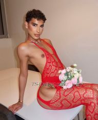 Zahiahot Paris Transex Bonjour Messieurs,

𝐋𝐔𝐗𝐔𝐑𝐘 𝐅𝐑𝐄𝐍𝐂𝐇 𝐄𝐒𝐂𝐎𝐑𝐓 𝐒𝐄𝐑𝐕𝐈𝐂𝐄 
Uniquement de Passage..Offrez vous l'instant. Je suis une rareté !🌟

Incroyable FemBoy 23 ans de nationalité Française, d'origine Marocaine et Italienne 🇲🇦 🇮🇹 . Souriante, Élégante, Cultivé et bon délire !

« La finesse d’une silhouette, l’élégance du luxe »
Doté d'une bouche pulpeuse, d'un visage de Poupée et d'une voix Sexy.
Ma silhouette est harmonieuse et élancée, ma taille et mes fesses sont sculptées par le sport 🍒 

🪞 Toujours apprêté, lingerie exquise, parfums envoûtants et talons élégants... tout est pensé pour éveiller vos sens et sublimer chaque instant.

  ⚜️ MON MENU CHARNEL :
▪️ Massage sensuel à l'huile 
▪️ Fellation Nature
▪️ Rapport protégé toutes positions 
▪️ FrenchKiss 
▪️ Domination Soft ou Hard 
▪️ Sperme buccale ou corporel
▪️ Annulingus, 69, Poppers
▪️ Caresses, Corps à Corps, tétons 
▪️Paroles coquines, strip-tease 🔞
▪️GFE, PSE, jeux de rôle 
▪️Féminisation  
▪️Accompagnement, Soirée, Nuitée ❄️ 🥂 ❤️‍🔥 🌿 

Pour les plus audacieux je réalise des Shows Cam ou du Contenu Hot.
🎥 SHOW CAM : 50 🌹 

J'aime donner et recevoir du plaisir. Active et Passive ! 🤭

Mes photos sont 100% Réelles, inutile de m'en redemander ! 
Je Garantis une Discrétion Absolue. 💝

🪄 UNE NOTE PERSONNELLE 
Je suis sélective. L'élégance, le respect et la bonne énergie sont essentiels.
L'hygiène est primordiale pour moi, attitude négligée sera refusée.

J'attend de vous une brève présentation lors de la prise de contact, J’apprécie les hommes courtois, élégants… 👔

⚠️  Je Reçois ou me Déplace toujours dans des lieux de standing — Privés, Sécurisés et Discret — avec salle d’eau a disposition 🚿 Dédiée à mon activité je ne conserve ni espèces ni objets de valeur..

⛔ Je BLACKLIST ⛔️ les messages :
de négociation, irrespectueux, ou les rendez-vous non honorés sans prévenir. 
Merci de respecter mon standing : je ne permets pas les propositions à 50,60 !

Retrouvez moi sur X : zahiahot

Dans l’attente de vous lire…
Zahia 💋
Votre rêve éveillé dans un monde trop ordinaire.
