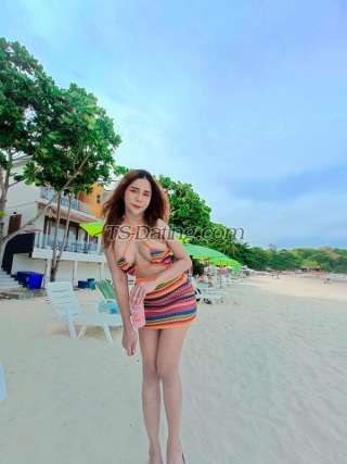 trans girl Zanksy 1913944 trans girl Zanksy 1913944