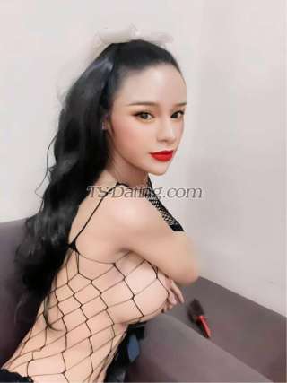 trans girl Zara99 4736978 trans girl Zara99 4736978