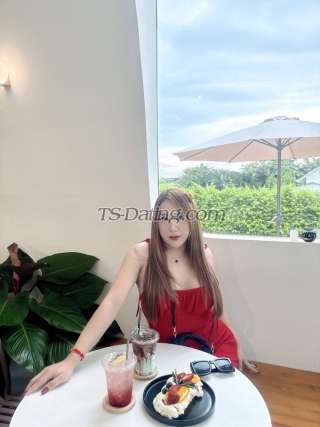 trans girl Zazyzix 8663456 trans girl Zazyzix 8663456