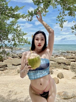 trans girl Zhetarza1565 3627576 trans girl Zhetarza1565 3627576