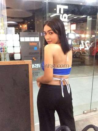 trans girl Zodatrans girl 8455675 trans girl Zodatrans girl 8455675