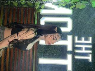 trans girl ZoeBebe 4398078 trans girl ZoeBebe 4398078