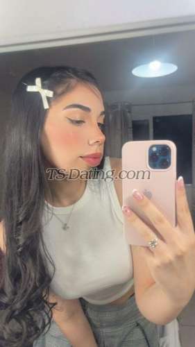 trans girl ZoeBebe 4398141 trans girl ZoeBebe 4398141