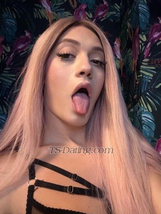 trans girl Zoedollz 1448500