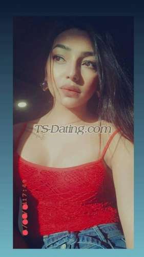 trans girl Zoya142 3822697 trans girl Zoya142 3822697