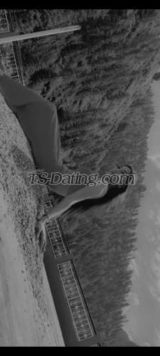 trans girl Zoya142 5645817 trans girl Zoya142 5645817