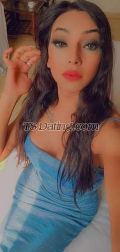 trans girl Zoya142 8594745 trans girl Zoya142 8594745