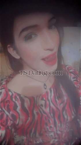 trans girl Zoyanoor1787 7110181 trans girl Zoyanoor1787 7110181