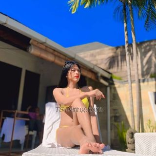 trans girl Zoyasmith 3384283